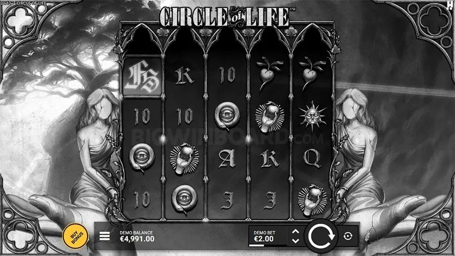 Live casino beginner's guide